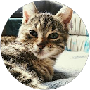 Image Google de Karine Porcher