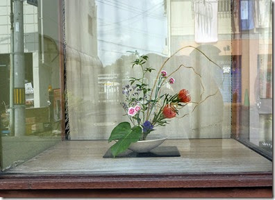 【自由花】コクワヅル、ピンクッション、モンステラ