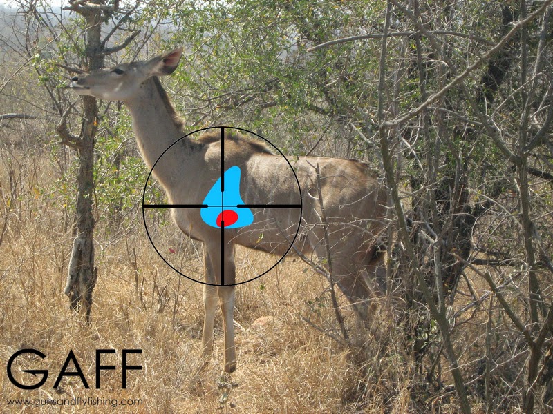Kudu-hunting-shot-placement (2).jpg