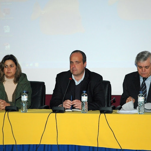 Conselho Local de Acção Social de Santa Comba Dão apresentou o Plano de
Emergência Social