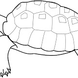 268.gif.jpg