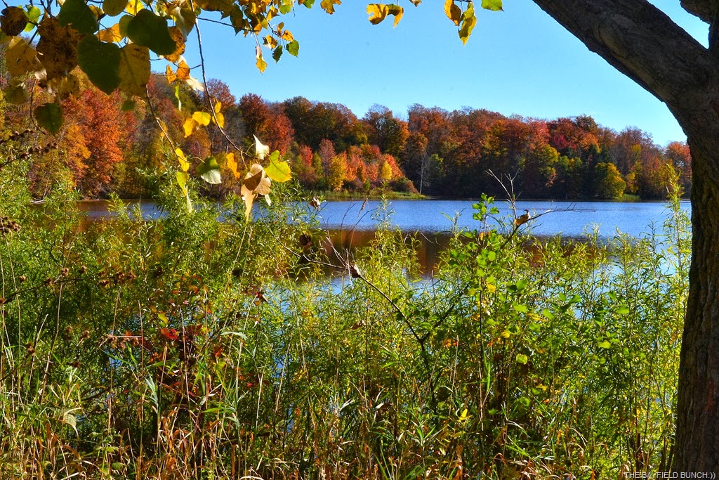 [DSC_0058%255B3%255D.jpg]