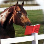 reading horse