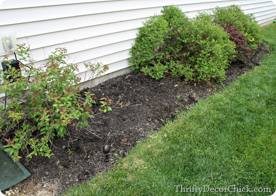 getting rid of weeds the easy way