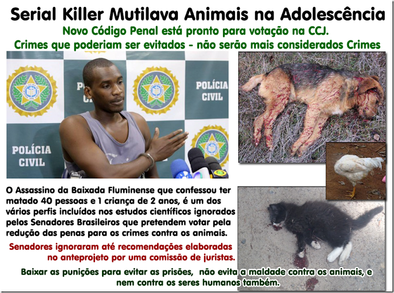 serial_killer_animais