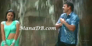 Venky-12.gif