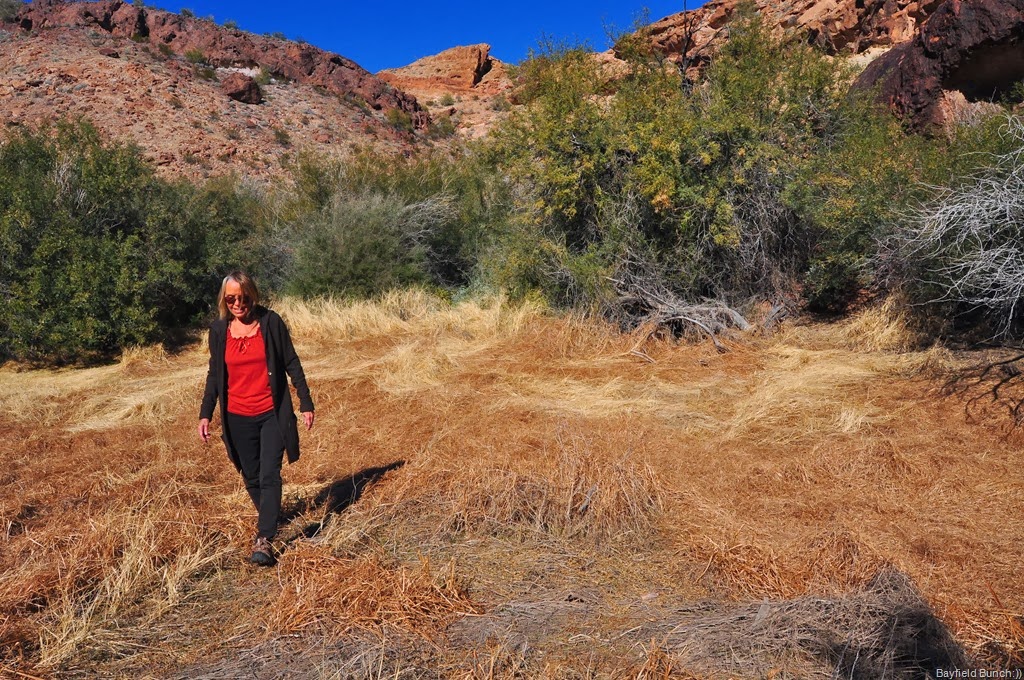 [DSC_0089%255B4%255D.jpg]