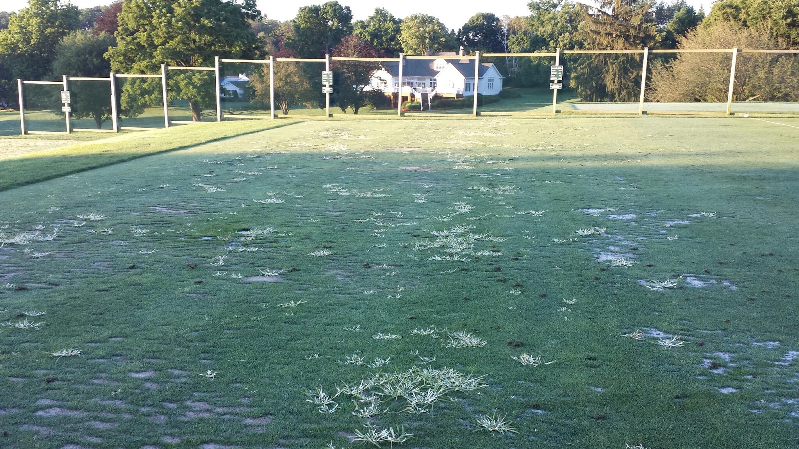 Kennett Square Golf and Country Club: Goosegrass control on driving ...