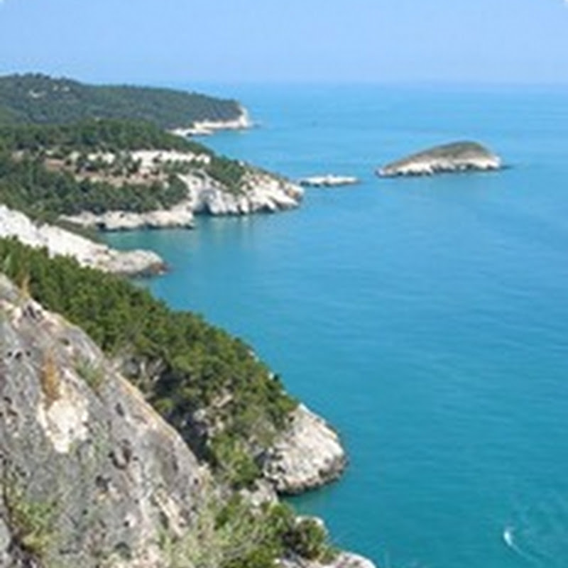 IL Gargano, un viaggio alla scoperta di un promontorio a strapiombo sull’Adriatico meridionale, con monti rocciosi e baie incantate.