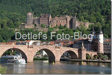 heidelberg3