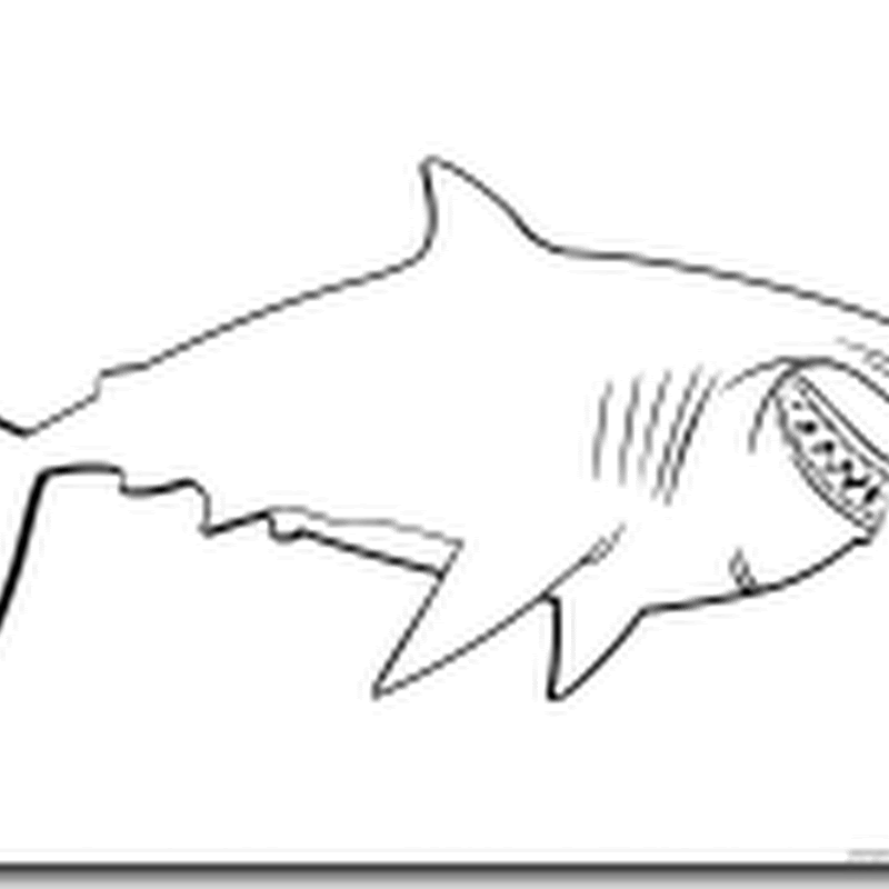 Colorear dibujos de tiburón