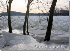 Ice on the Susquehanna River, 2/2014, by Sue Reno, Image 12