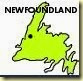 newfoundland1 newfoundland1