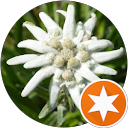 Edelweiss