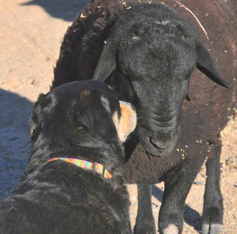 [DSC_0024%255B4%255D.jpg]