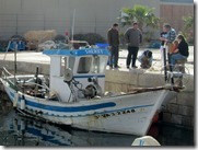 IMG_6245 IMG_6245