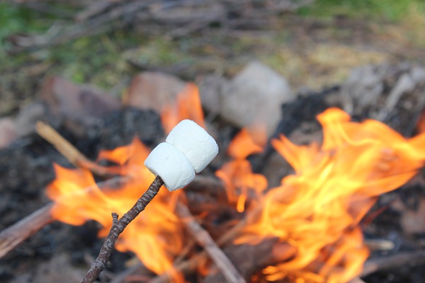cooking with a stick over a campfire