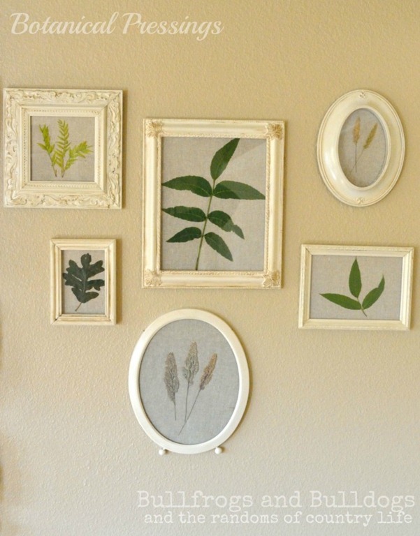 botanical frames