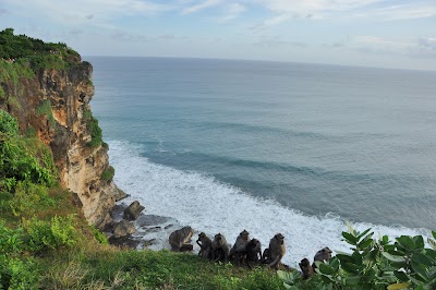 Nous arrivons au bord de la falaise, les singes amusent déjà la foule. DSC_0119.jpg