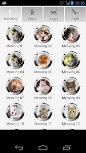 Cat Sounds Screenshots 6