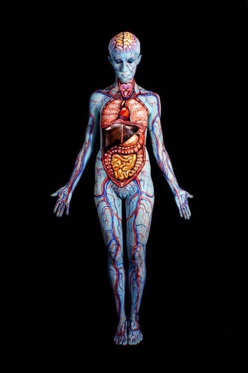 Arte corporal anatomia humana 02