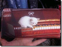 gato pianista blogdeimagenes (14)