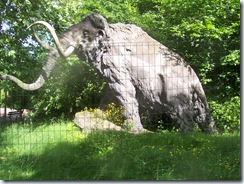 2008.05.26-009 statue de mammouth