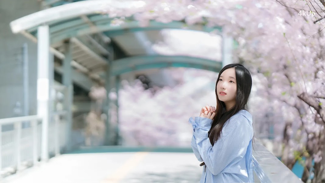 Bambi (밤비) Lacerta Photography