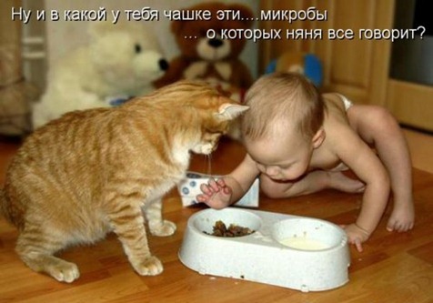 [1357839078_novye-kotomatricy-19%255B4%255D.jpg]