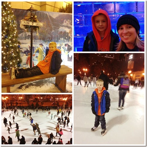 ice skate Millennium Park