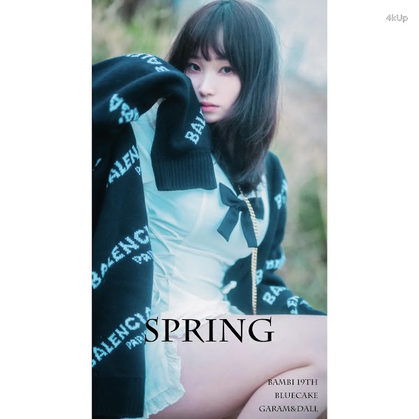 [BLUECAKE] Bambi (밤비) Spring