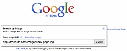 Search Through Images With Google Images