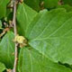 [image17.png.webp]