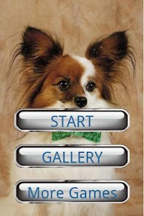 How to download Dog Puzzle: Papillon lastet apk for pc