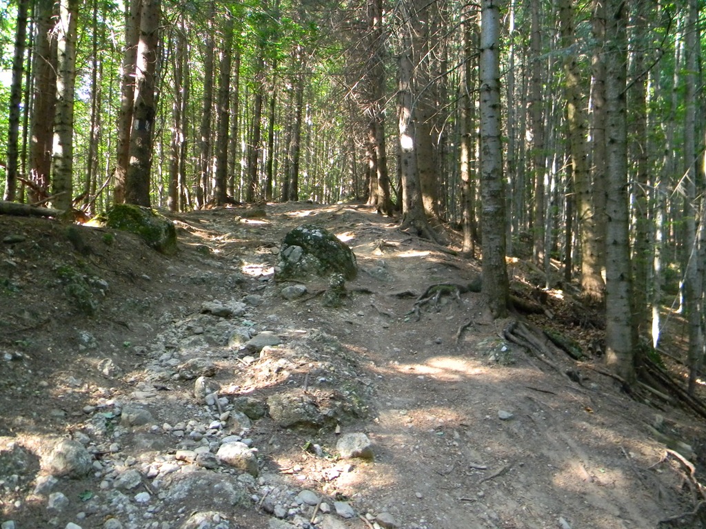 [DSCN36643.jpg]