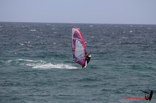 20140809_argeles_072.JPG