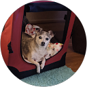 donna burgos profile picture