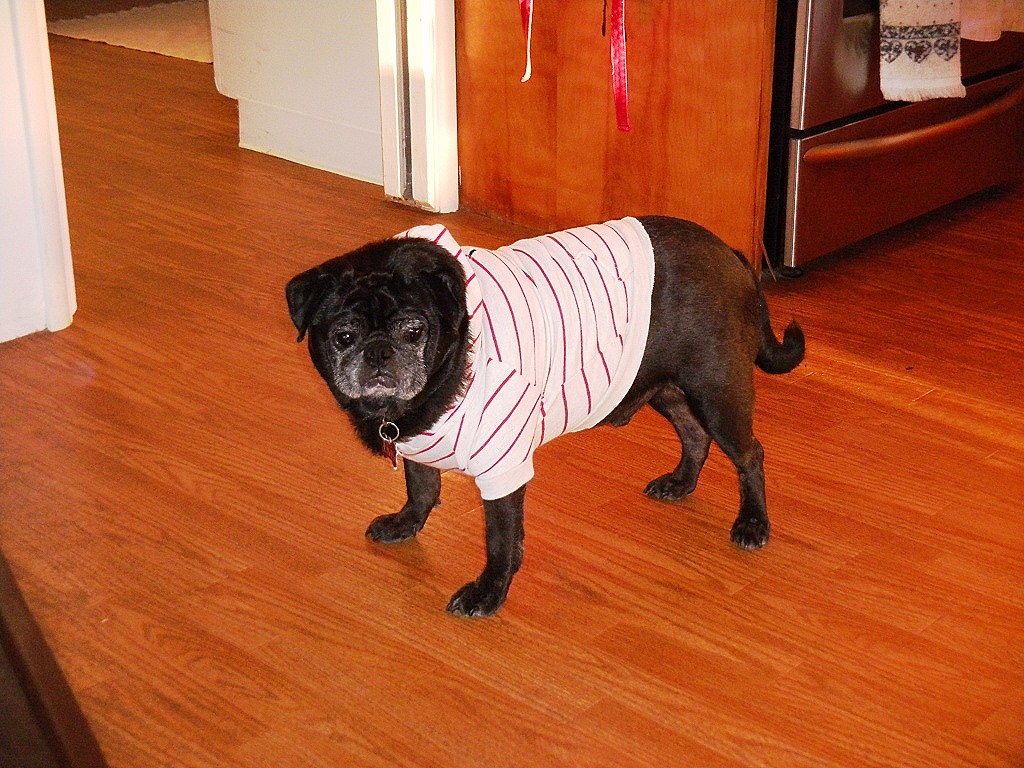 [DSCN3317%2520-%2520Kopie%255B5%255D.jpg]