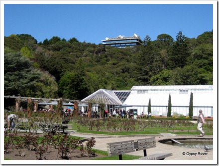 Lady Norwood Rose Garden, Wellington. Carter Observatory on the skyline.
