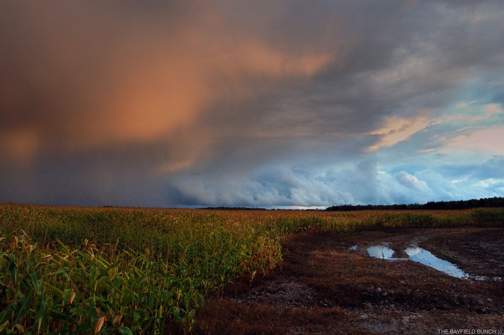 [DSC_0008-1%255B5%255D.jpg]