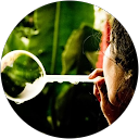 Mishita I.,LocalServices