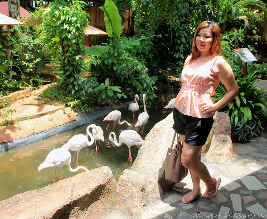[Langkawi114%255B4%255D.jpg.webp]