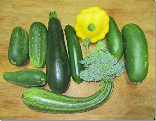 Assortment of cukes, squash and broccoli