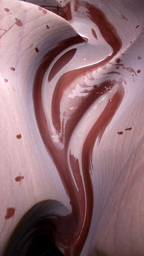 Panasonic Lumix G5, FZ200, LX7 preview / interview