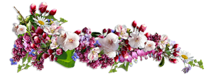 FL-NS%2520Flower%2520Cluster%252007.png