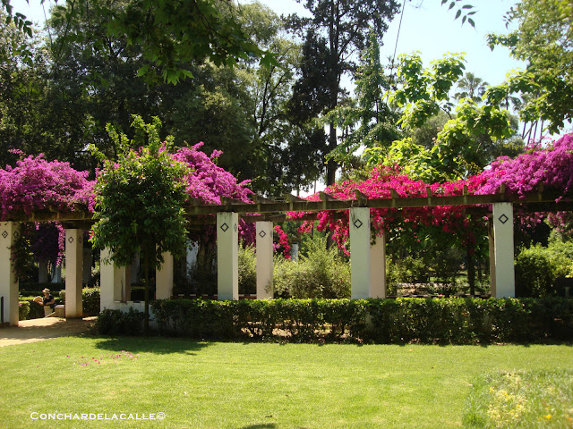 Parque de María Luisa - Mayo2011 (87).JPG