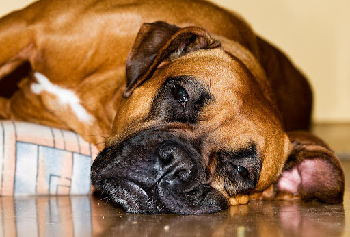 3205716943_89bf843f30_b