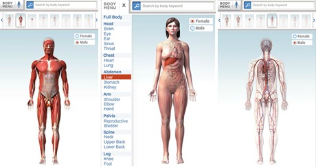Navega por el Cuerpo Humano en 3D