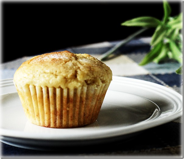 muffin-on-a-plate