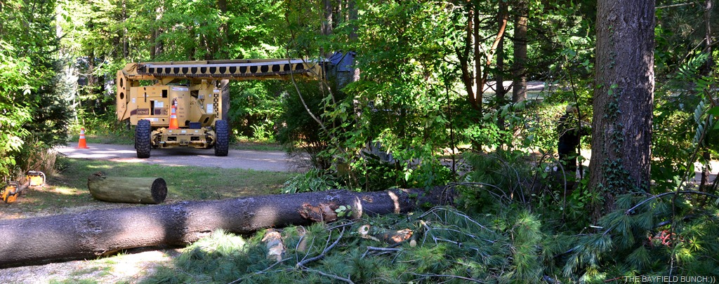 [DSC_0013%255B4%255D.jpg]